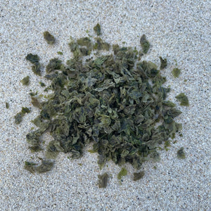 Algues bretonnes - Laitue de mer 40g